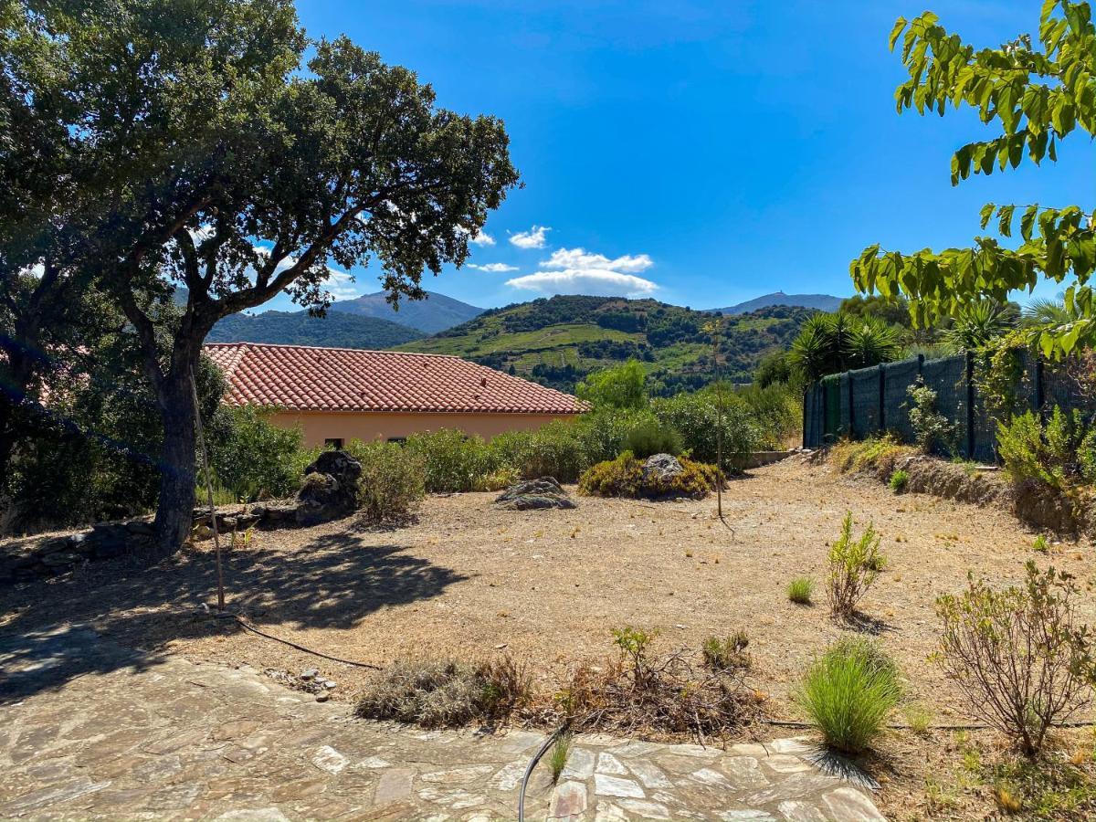 4Amb2 Villa De Caractere Avec Piscine Collective Collioure Eksteriør billede