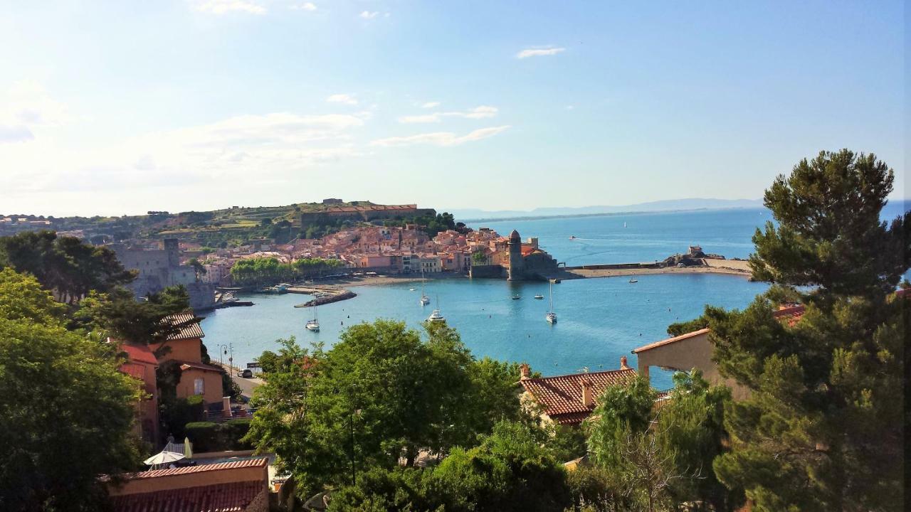 4Amb2 Villa De Caractere Avec Piscine Collective Collioure Eksteriør billede